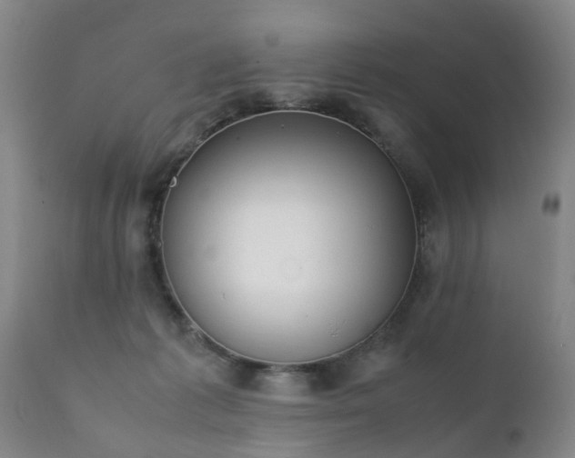 X0000112410221200908211130