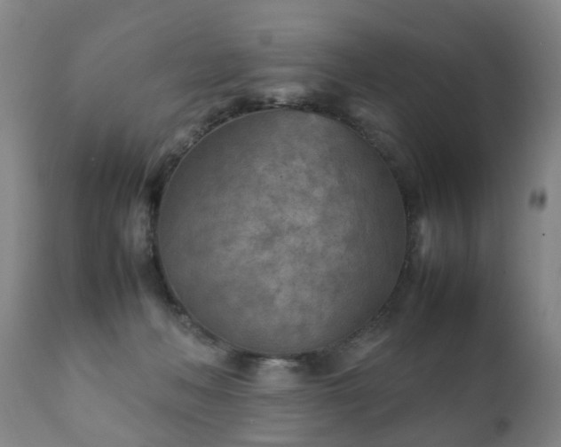 X0000112410222200908211130