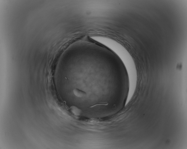 X0000112410223200908211130