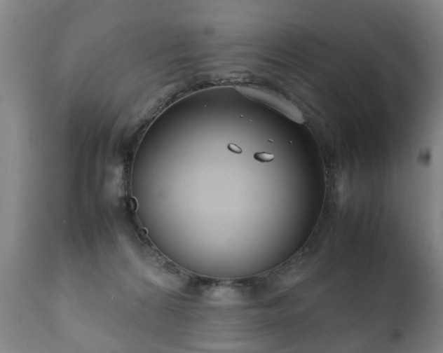 X0000112410224200908211130