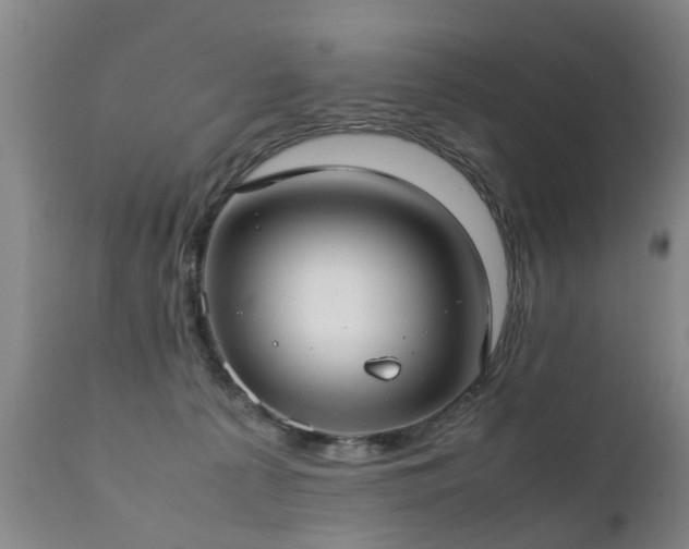 X0000112410225200908211130