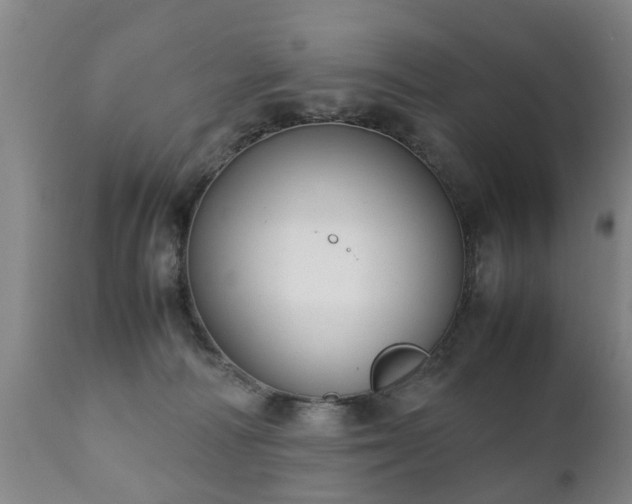 X0000112410226200908211130