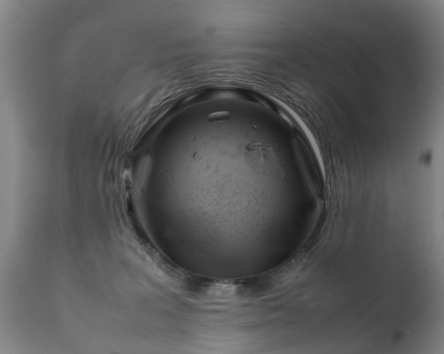X0000112410227200908211130