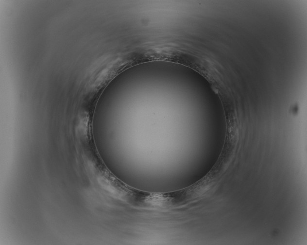 X0000112410231200908211129