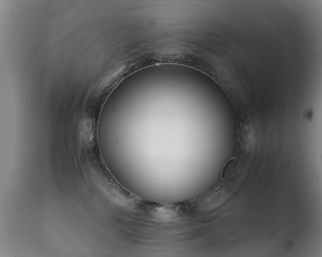 X0000112410232200908211129