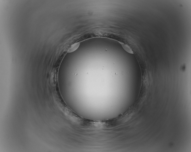 X0000112410233200908211129
