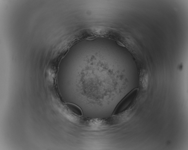 X0000112410235200908211129