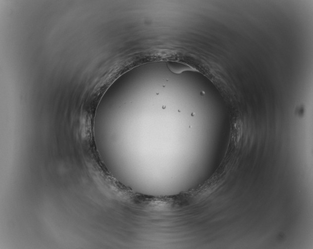 X0000112410236200908211129