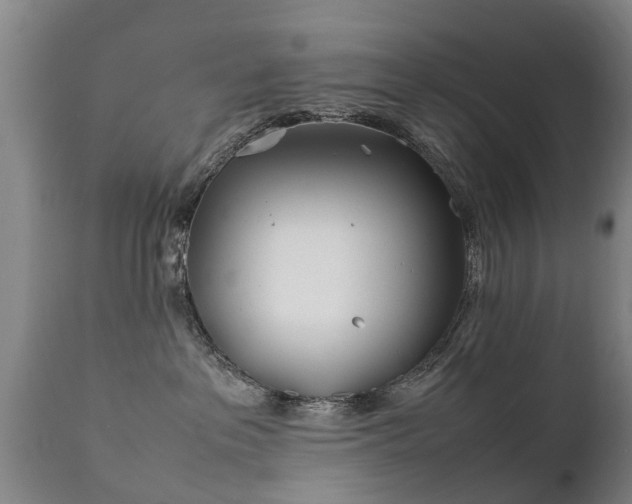 X0000112410237200908211129