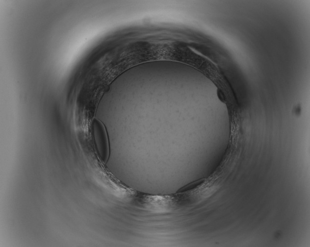X0000112410239200908211129