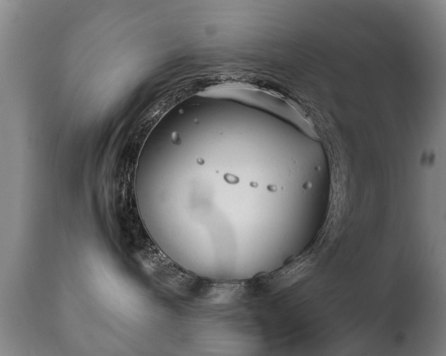 X0000112410240200908211129