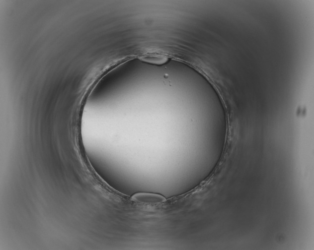 X0000112410241200908211129