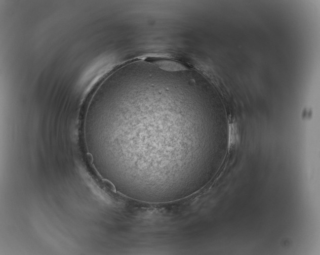 X0000112410243200908211129