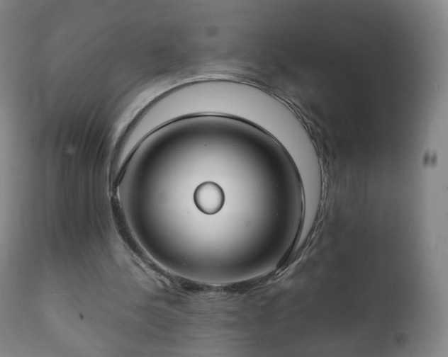 X0000112410244200908211129