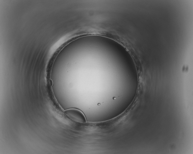 X0000112410246200908211129