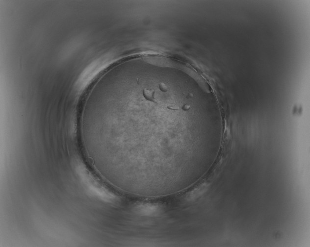 X0000112410247200908211129
