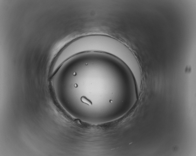 X0000112410248200908211129