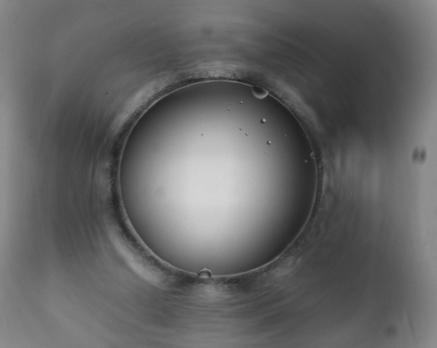X0000112410250200908211129