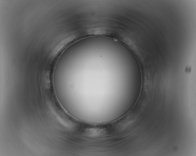 X0000112410251200908211129