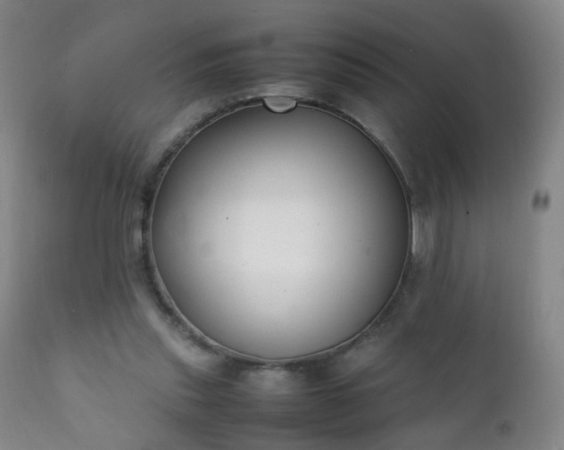 X0000112410253200908211129