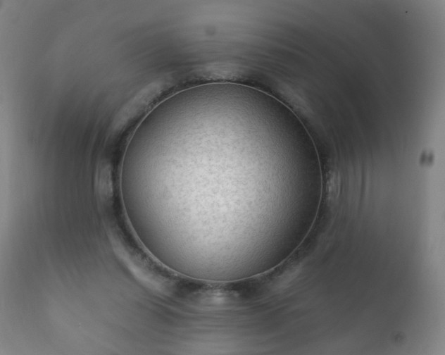 X0000112410254200908211129