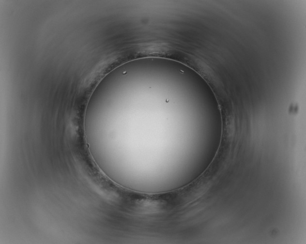 X0000112410255200908211129