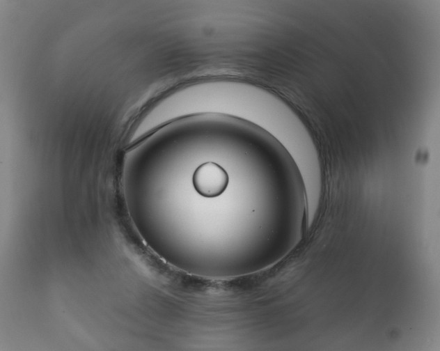 X0000112410256200908211129