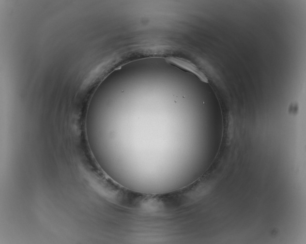 X0000112410258200908211129