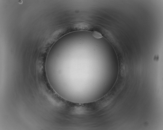 X0000112410259200908211129