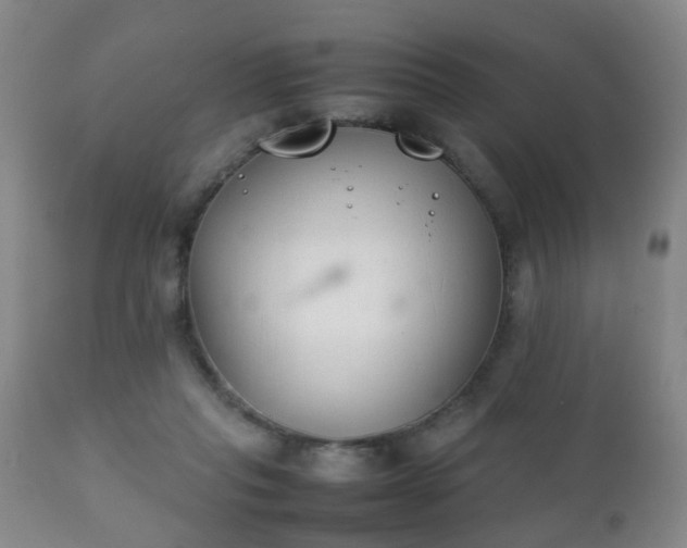 X0000112410261200908211129