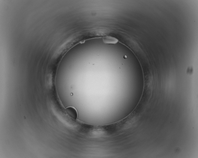X0000112410262200908211129