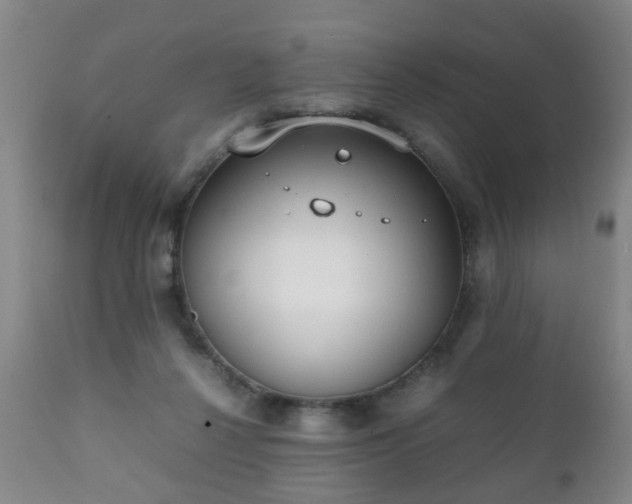 X0000112410264200908211129
