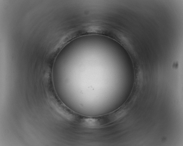 X0000112410265200908211129