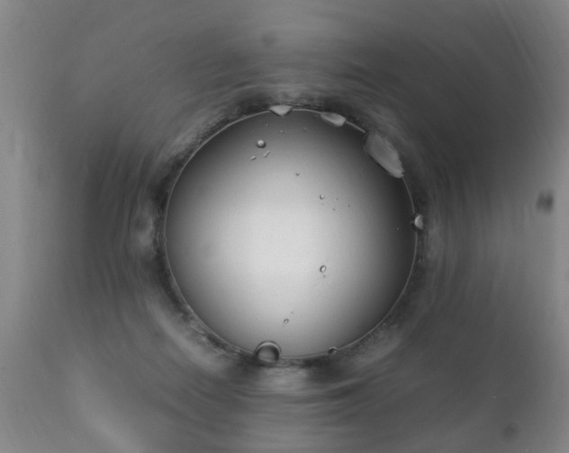 X0000112410266200908211129