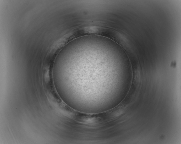 X0000112410267200908211129