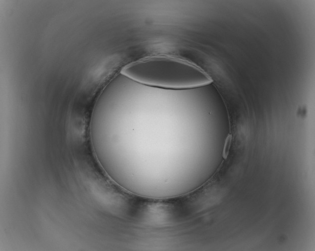 X0000112410268200908211129