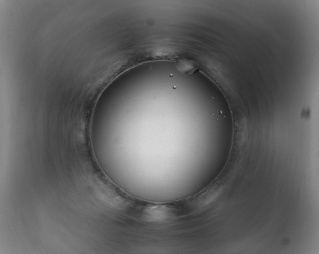 X0000112410269200908211129