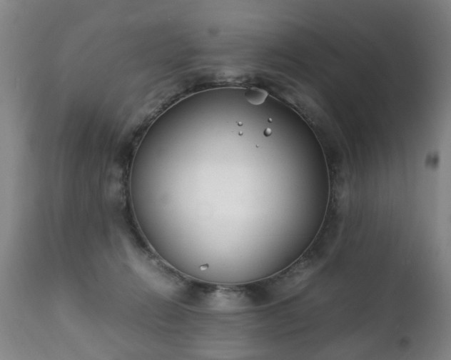 X0000112410270200908211129