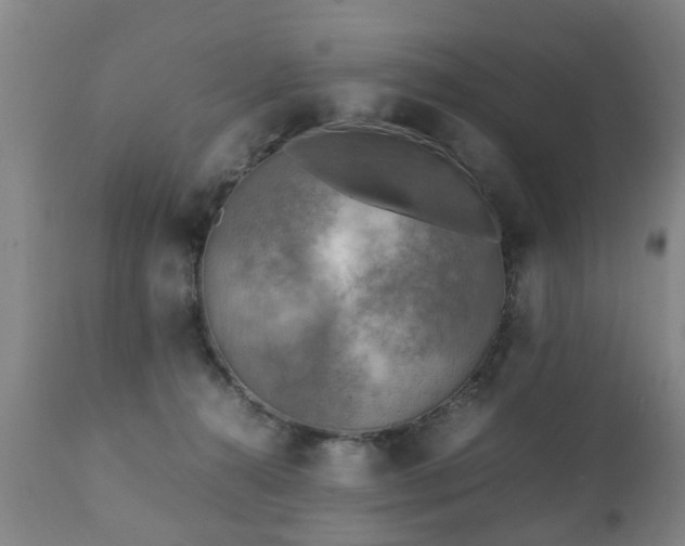 X0000112410272200908211129