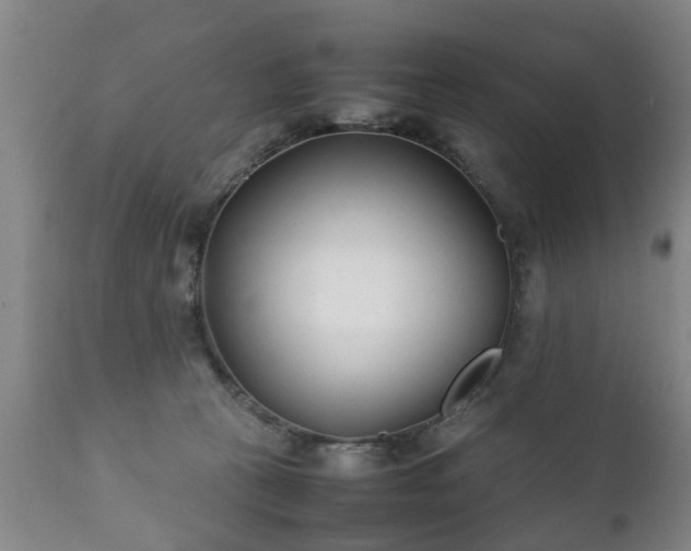 X0000112410273200908211129