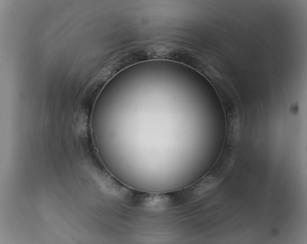 X0000112410274200908211129