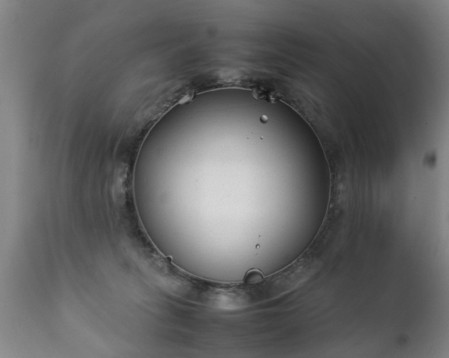 X0000112410275200908211129