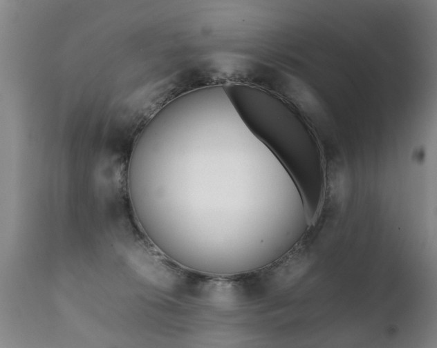 X0000112410276200908211129