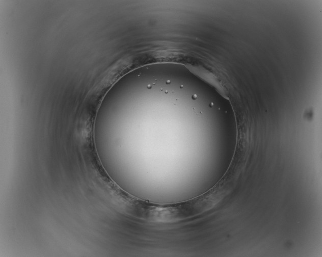 X0000112410277200908211129