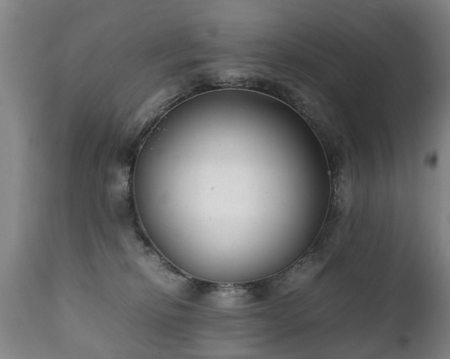 X0000112410278200908211129