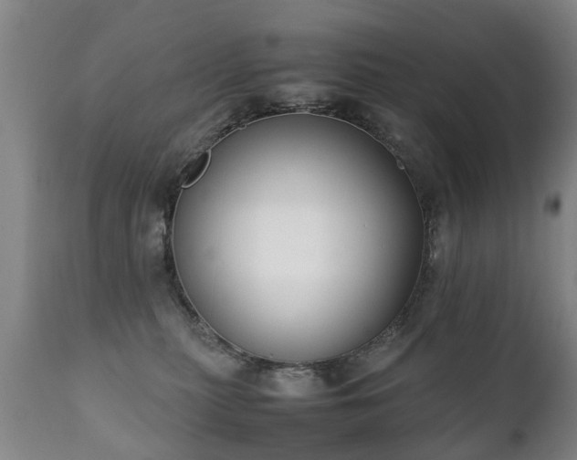 X0000112410279200908211129