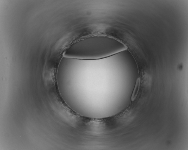 X0000112410280200908211129