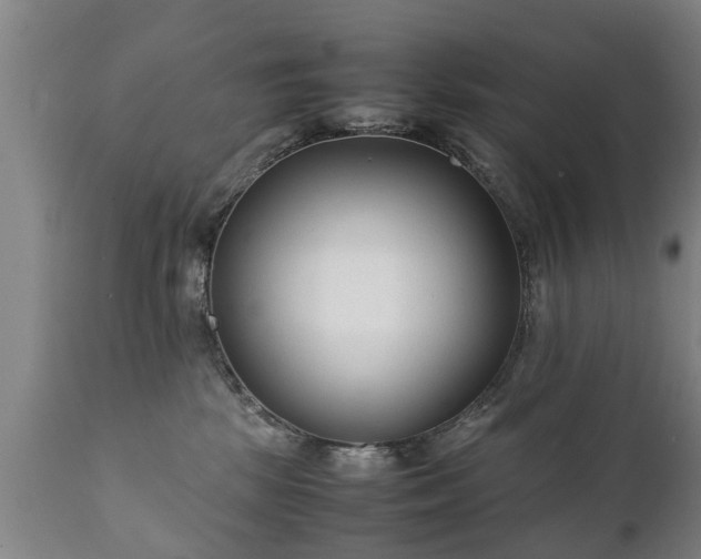X0000112410281200908211129