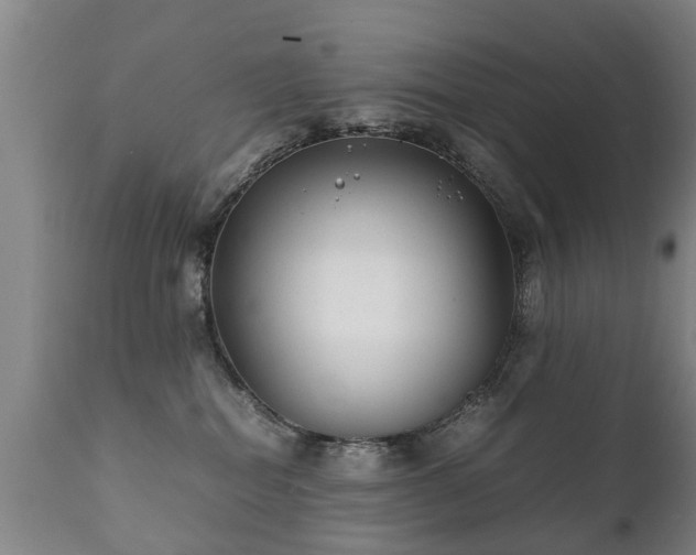 X0000112410282200908211129