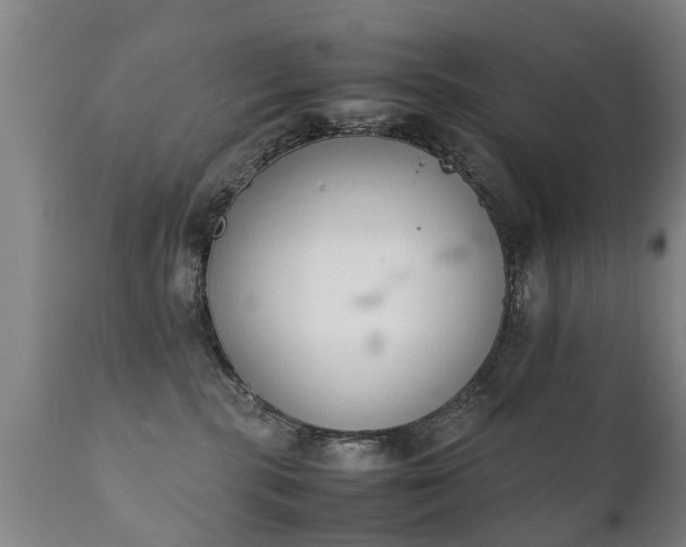 X0000112410283200908211129
